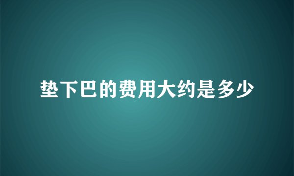 垫下巴的费用大约是多少
