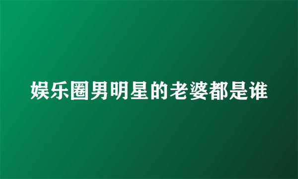 娱乐圈男明星的老婆都是谁