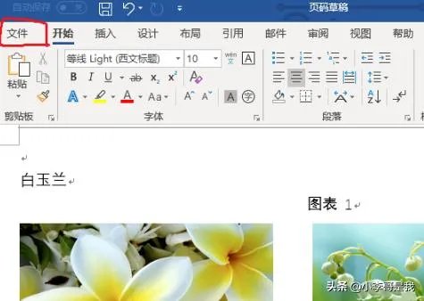 WORD2010如何转换成PDF格式?