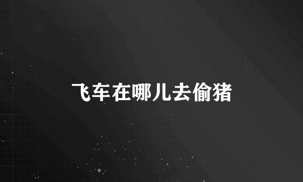 飞车在哪儿去偷猪