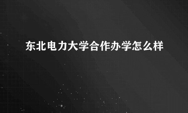 东北电力大学合作办学怎么样