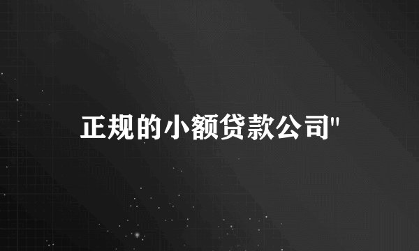 正规的小额贷款公司