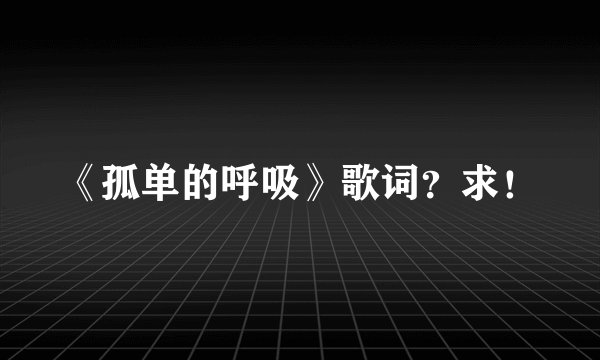 《孤单的呼吸》歌词？求！