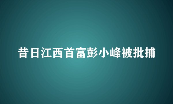 昔日江西首富彭小峰被批捕