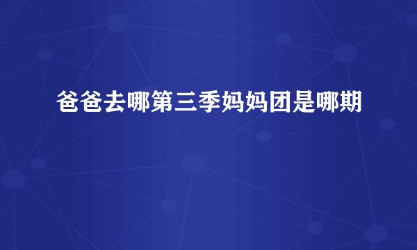 爸爸去哪第三季妈妈团是哪期
