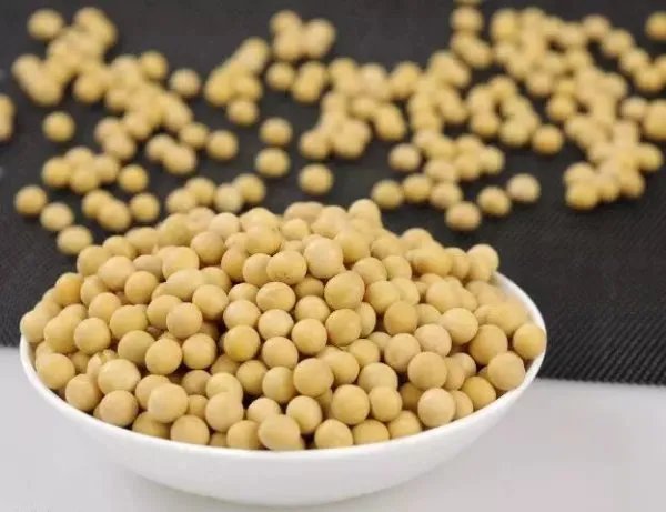 武汉采购360吨黄豆来抗洪,砂石和黄豆哪个抗水性更好?