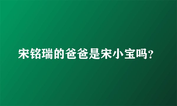 宋铭瑞的爸爸是宋小宝吗？