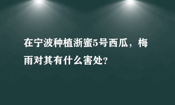 在宁波种植浙蜜5号西瓜，梅雨对其有什么害处？