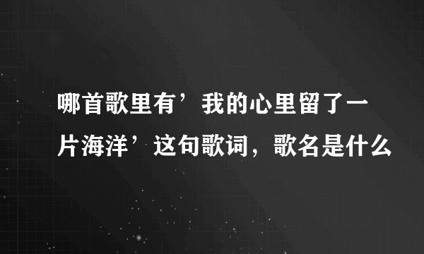 哪首歌里有’我的心里留了一片海洋’这句歌词,歌名是什么
