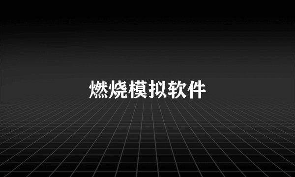 燃烧模拟软件