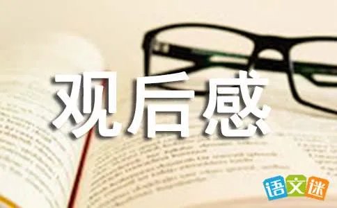 阅兵观后感