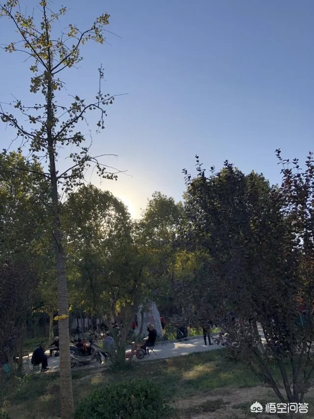 八十多岁的老太太病危,亲人要抢救,但老人叫孩子不要抢救了,你怎么看?