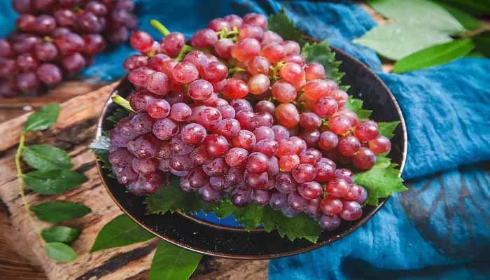 中国葡萄种植始于哪个朝代 中原地区葡萄种植始于什么朝代
