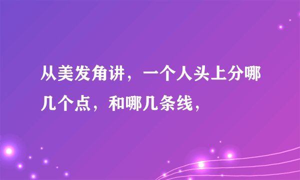 从美发角讲,一个人头上分哪几个点,和哪几条线,