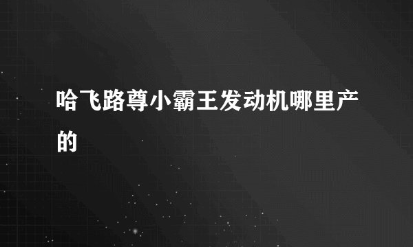 哈飞路尊小霸王发动机哪里产的