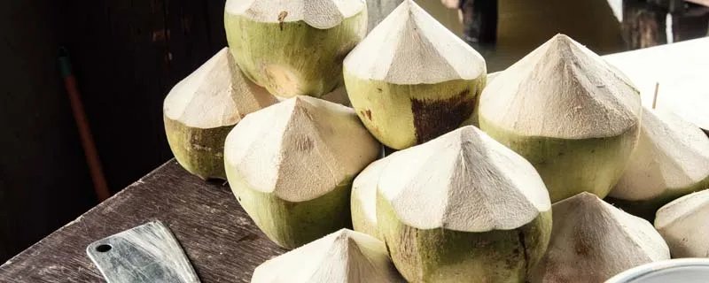老椰子水为什么是酸的 老椰子水是什么味道