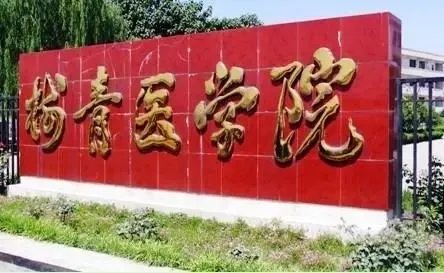郑州澍青医学院分数线?