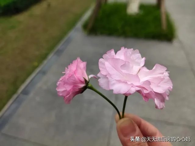 疫情会在四月份彻底结束吗?