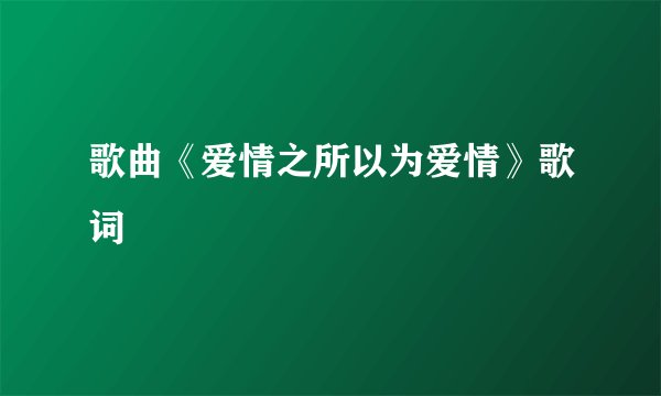 歌曲《爱情之所以为爱情》歌词