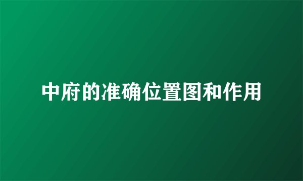 中府的准确位置图和作用