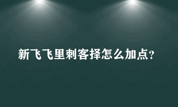 新飞飞里刺客择怎么加点？