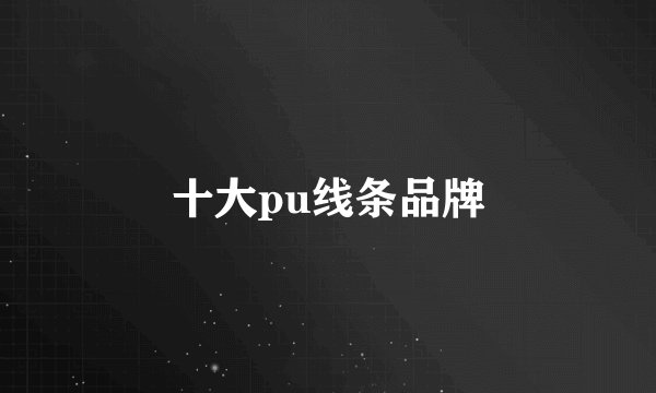 十大pu线条品牌