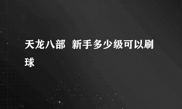 天龙八部  新手多少级可以刷球