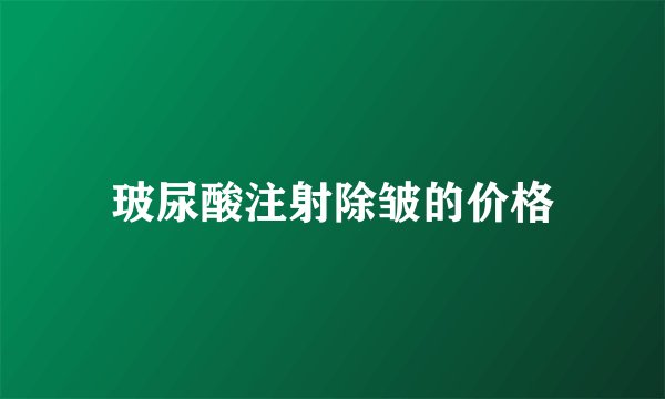 玻尿酸注射除皱的价格