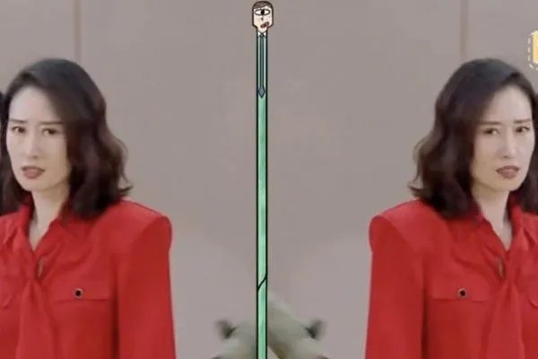 刘敏涛跳无价之姐的表情,刘敏涛跳无价之姐是在哪个节目?