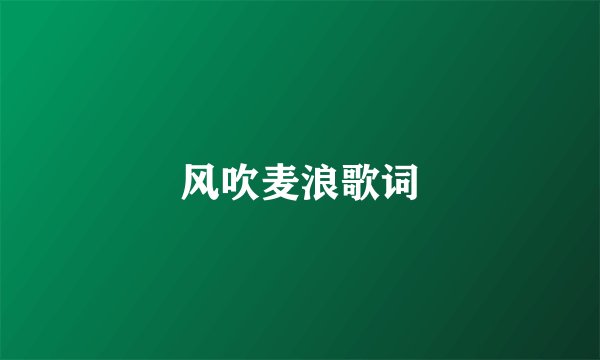 风吹麦浪歌词