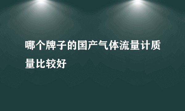 哪个牌子的国产气体流量计质量比较好